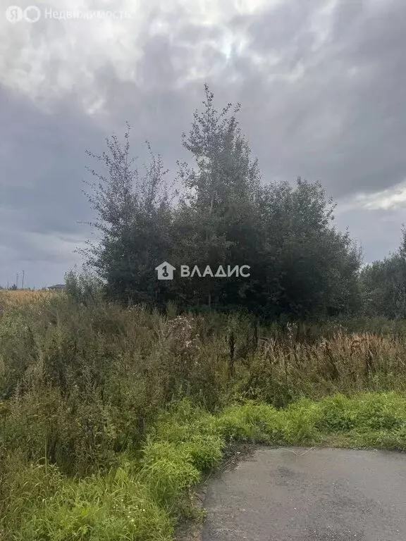 Участок в Нижегородская область, Богородский муниципальный округ, ... - Фото 1