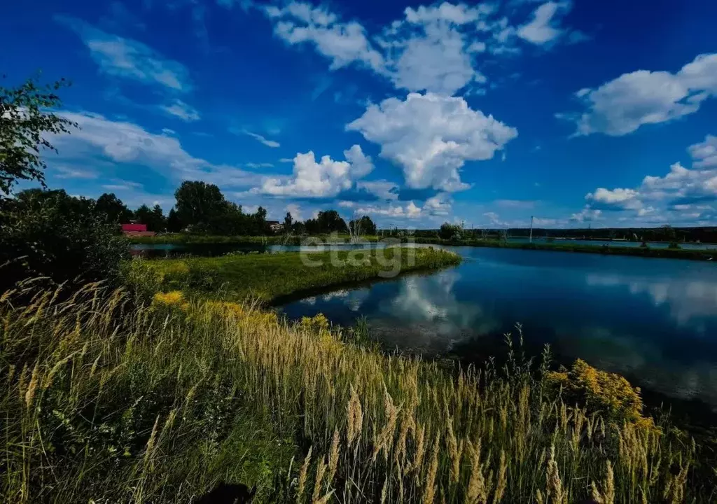 Участок в Нижегородская область, Кстовский муниципальный округ, с. ... - Фото 0