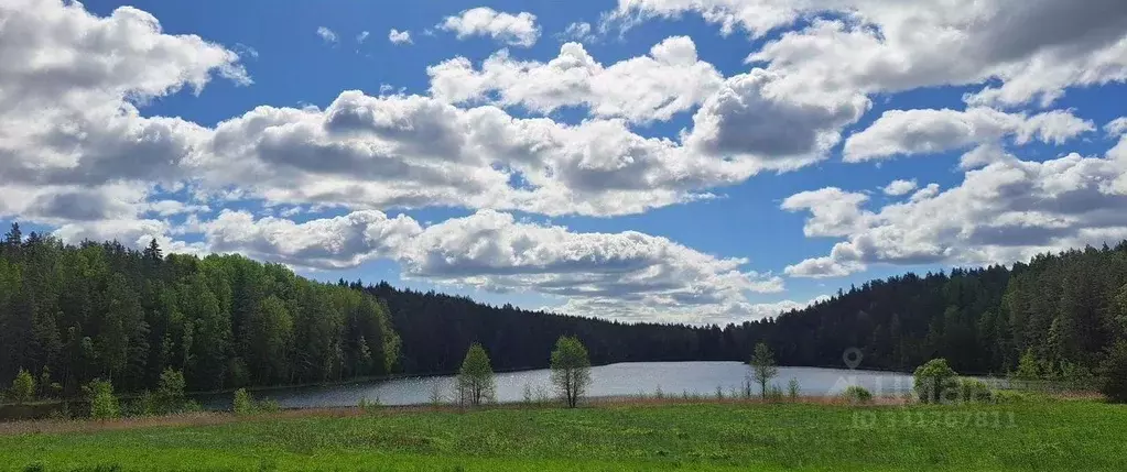 Участок в Ленинградская область, Выборгский район, Каменногорское ... - Фото 1