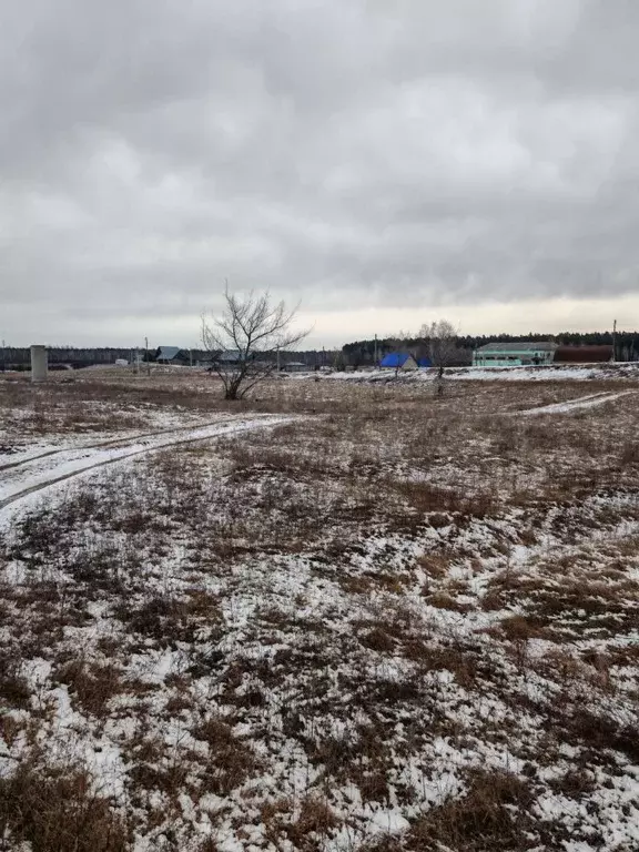 Участок в Алтайский край, Первомайский район, с. Рассказиха Советская ... - Фото 2