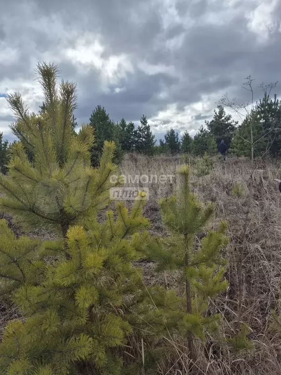 Участок 10,1 сот. (ИЖС) - Фото 1