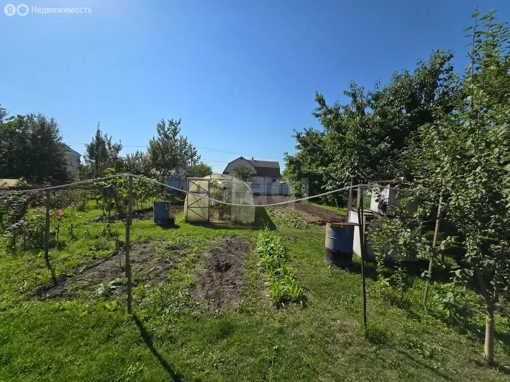 Участок в Антоновка, 1-я Новозыбковская улица (7.5 м) - Фото 0