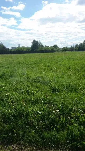 Участок 11сот. (ИЖС) - Фото 1