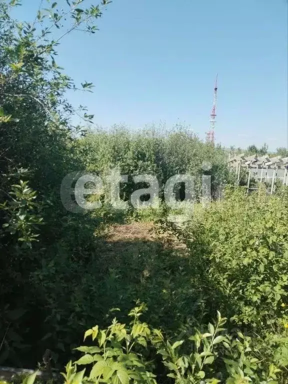 Дом в Красноярский край, Красноярск Победа СНТ, ул. Бригада № 1, 5 (12 ... - Фото 2