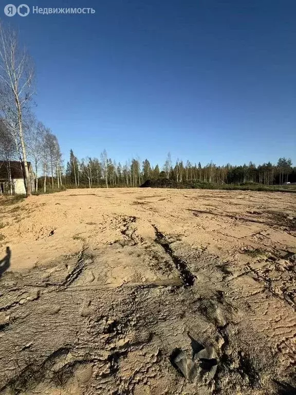 Участок в Ленинградская область, Гатчинский муниципальный округ, ... - Фото 1