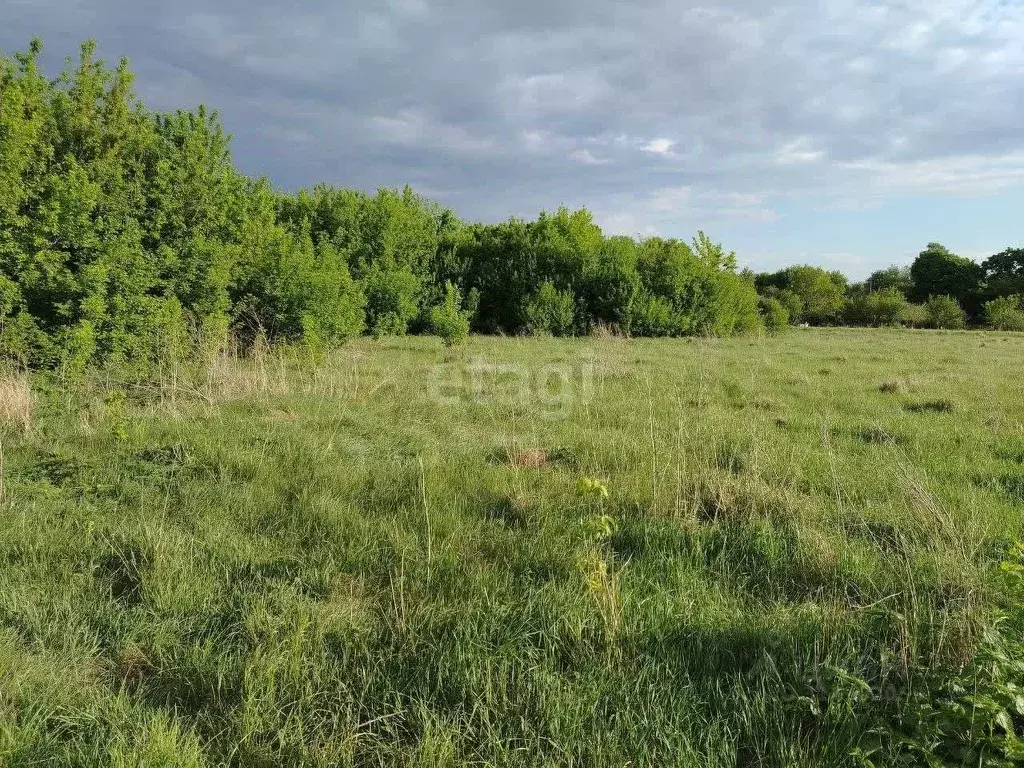 Участок в Белгородская область, Корочанский район, Бехтеевское с/пос, ... - Фото 2