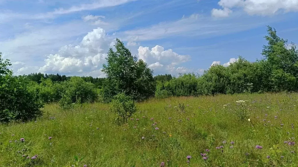 Участок в Московская область, Можайский муниципальный округ, Лесной кп ... - Фото 2