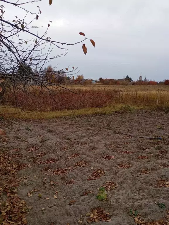 Участок в Саратовская область, пос. Красный Текстильщик, Источник СНТ  ... - Фото 1