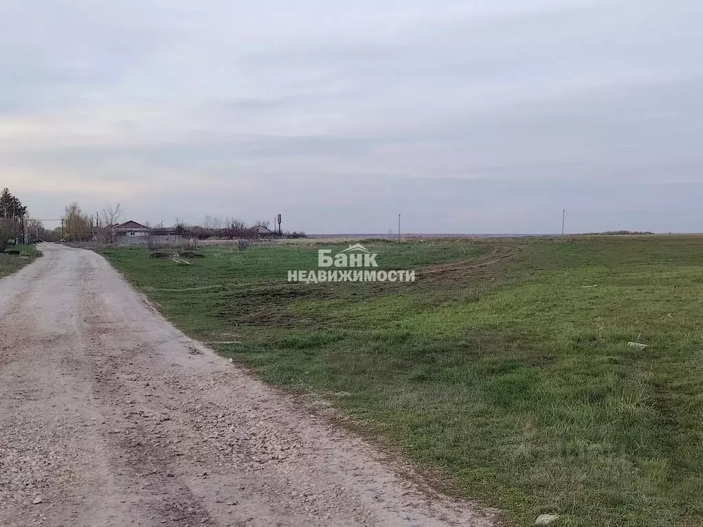 Участок в Саратовская область, Балаковский район, Натальинское ... - Фото 2