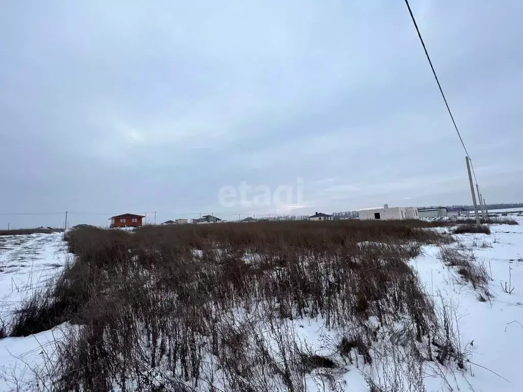 Участок в Белгородская область, Белгородский район, с. Стрелецкое 81 ... - Фото 1