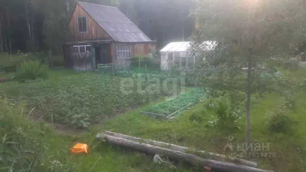 Участок в Томская область, Томский район, д. Кисловка, Огонек садовое ... - Фото 1