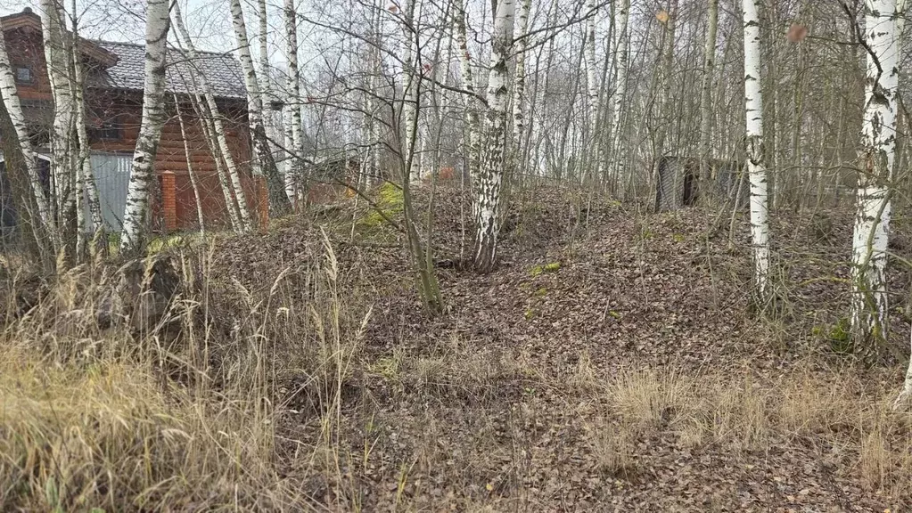 Участок в Московская область, Домодедово городской округ, д. Борисово  ... - Фото 2