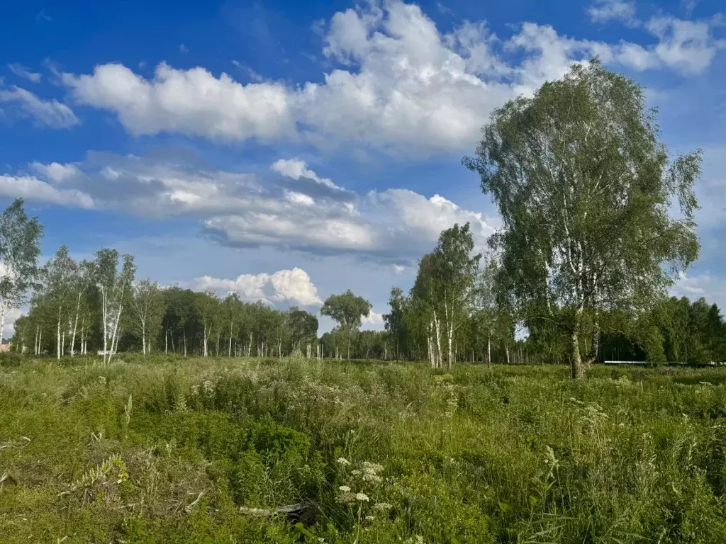 Участок в Московская область, Раменский муниципальный округ, Березки ... - Фото 1