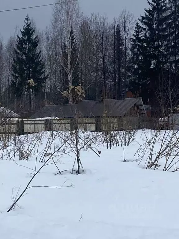 Участок в Пермский край, Пермь Ново-Бродовский жилрайон, ул. Ясеневая ... - Фото 1