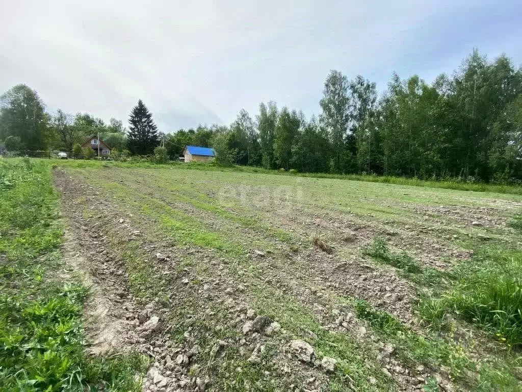Участок в Калужская область, Перемышльский муниципальный округ, ... - Фото 1