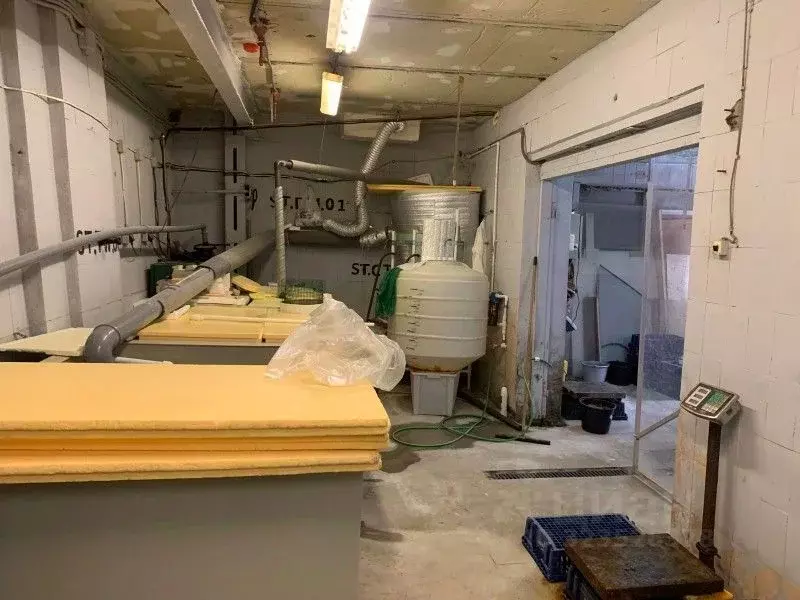 Производственное помещение в Санкт-Петербург ул. Комсомола, 1-3АЦ (156 ... - Фото 2