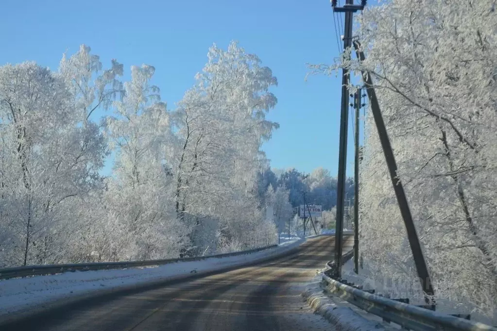 Участок в Ленинградская область, Выборгский район, Полянское с/пос, ... - Фото 1