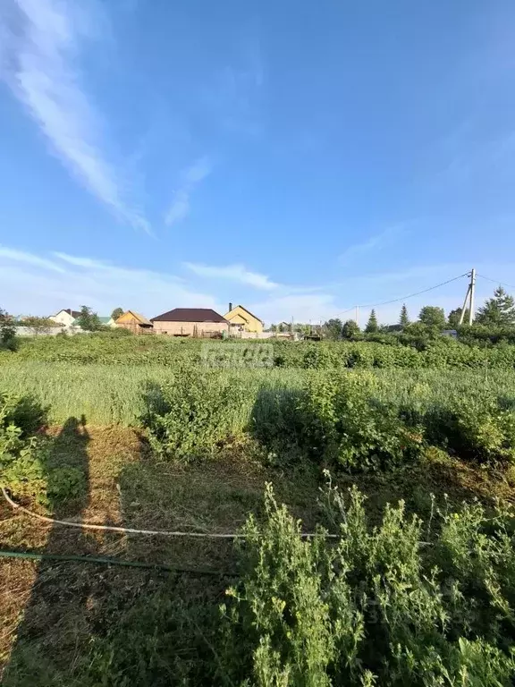 Участок в Башкортостан, Туймазинский район, Каратовский сельсовет, с. ... - Фото 0