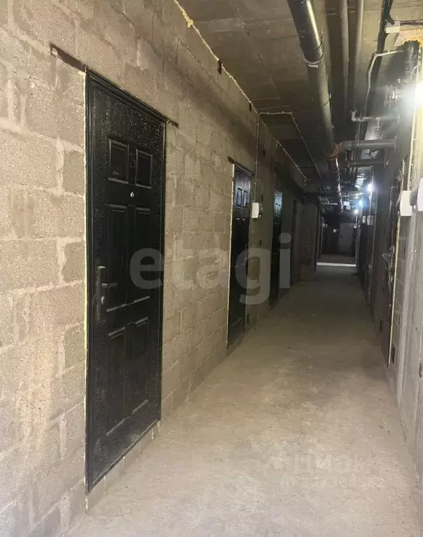 Помещение свободного назначения в Краснодарский край, Анапа ул. ... - Фото 1