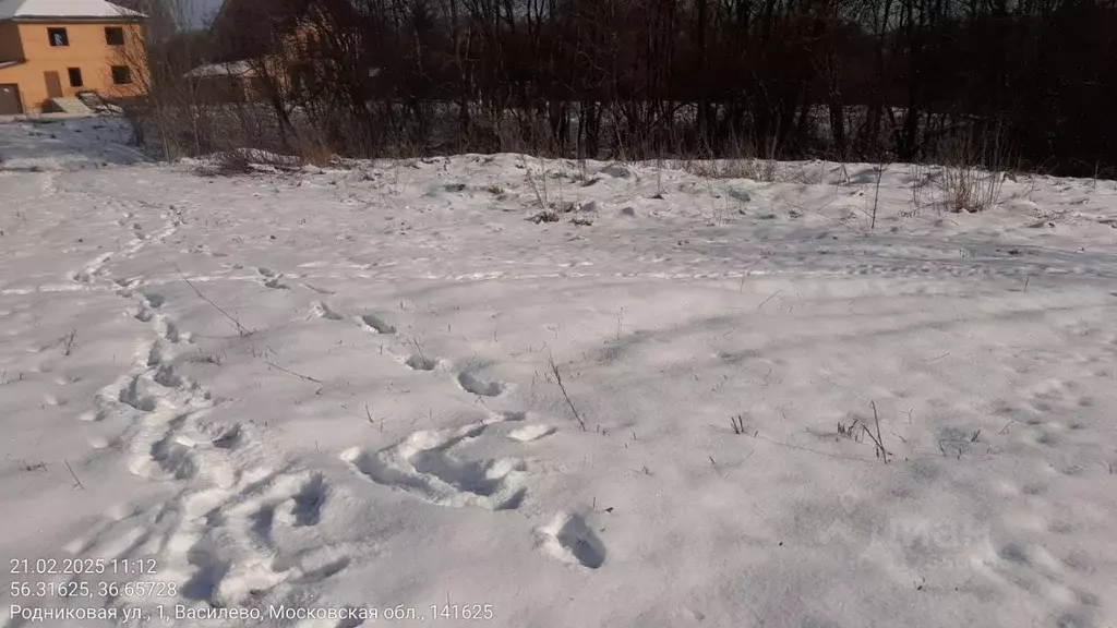 Участок в Московская область, Клин городской округ, д. Василево  (15.0 ... - Фото 1