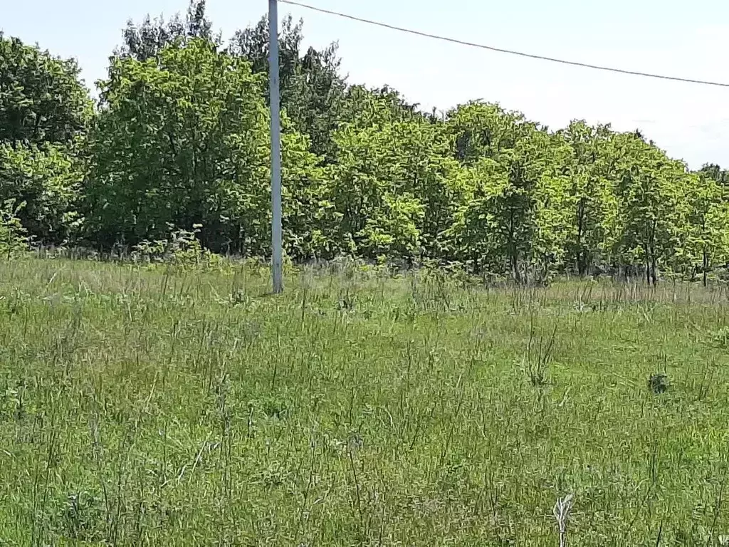 Участок в Белгородская область, Бирюч Красногвардейский район, Ямская ... - Фото 1