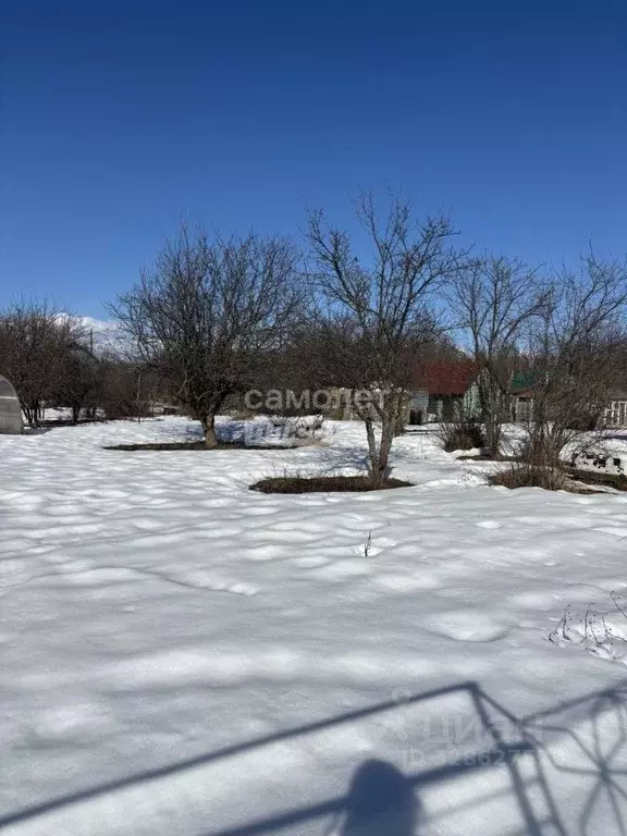 Участок в Марий Эл, Медведевский район, Шойбулакское с/пос, Медик СНТ ... - Фото 2