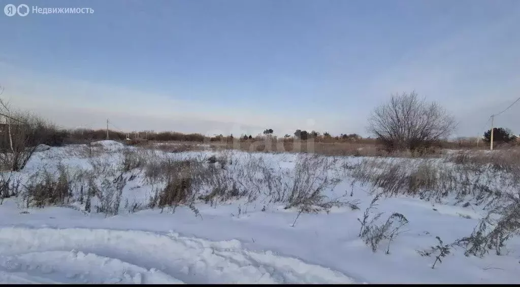 Участок в Амурская область, Благовещенский муниципальный округ, село ... - Фото 1