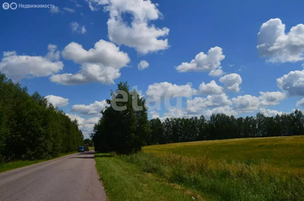 Участок в Брянский район, село Глинищево (210 м) - Фото 0