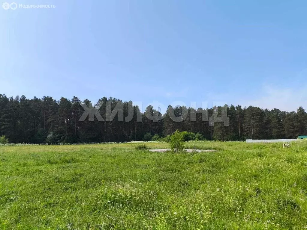 Участок в село Усть-Каменка, Сосновая улица (24 м) - Фото 1
