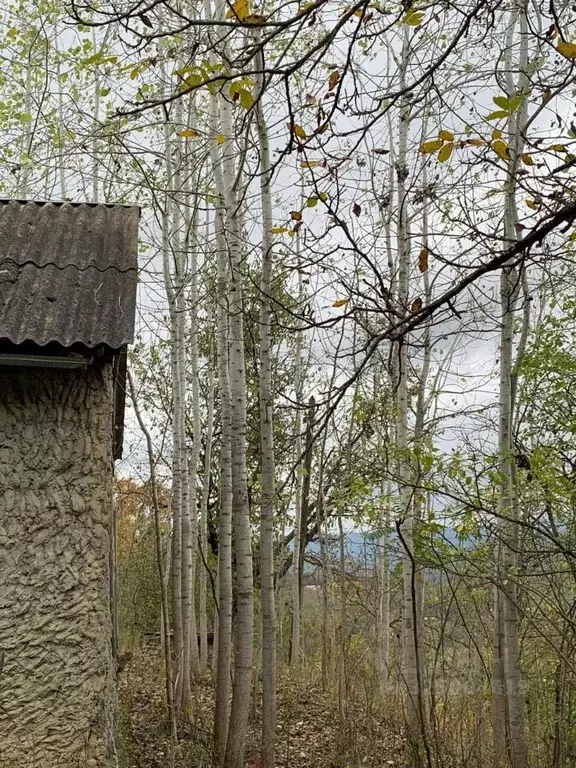 Участок в Чеченская республика, Курчалоевский район, Ялхой-Мохкское ... - Фото 2