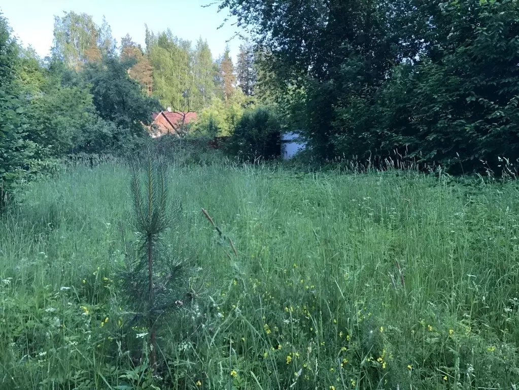 Участок в Ленинградская область, Гатчинский район, Вырица городской ... - Фото 1