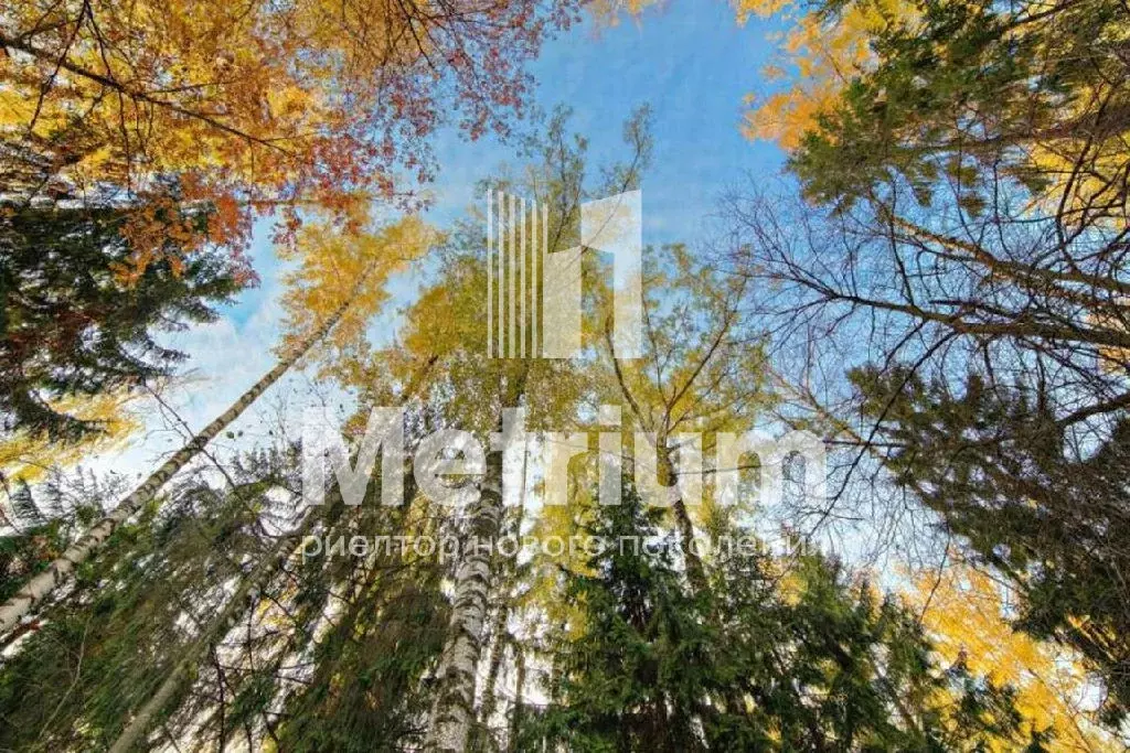 Продается участок в КП Чистые пруды - Фото 1