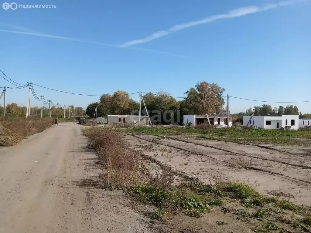 Участок в Новосибирский район, Морской сельсовет, село Ленинское (7.8 ... - Фото 0