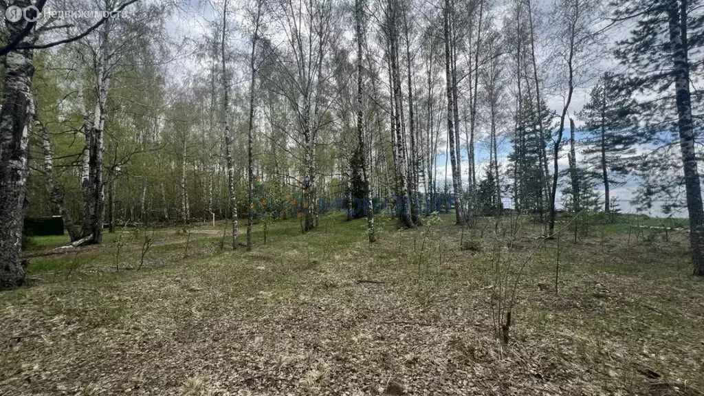 Участок в Нижегородская область, городской округ Сокольский, деревня ... - Фото 1