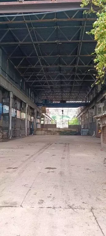 Производственное помещение в Краснодарский край, Сочи ул. Гастелло, ... - Фото 1