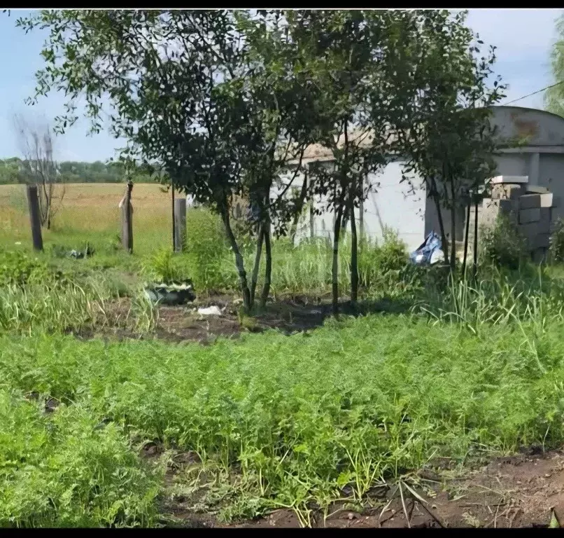 Участок в Башкортостан, Уфимский район, Жуковский сельсовет, Локомотив ... - Фото 1