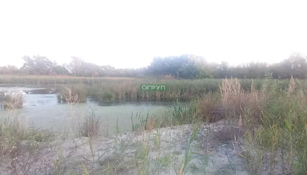 Участок в Пенза, СДТ Золотая Осень (26 м) - Фото 1