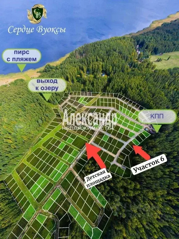 Участок в Ленинградская область, Приозерский район, Красноозерное ... - Фото 2