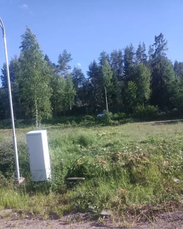 Участок в Ленинградская область, Приозерский район, Красноозерное ... - Фото 1