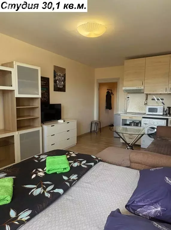 Квартира-студия: Мытищи, проспект Астрахова, 9 (30.1 м) - Фото 2