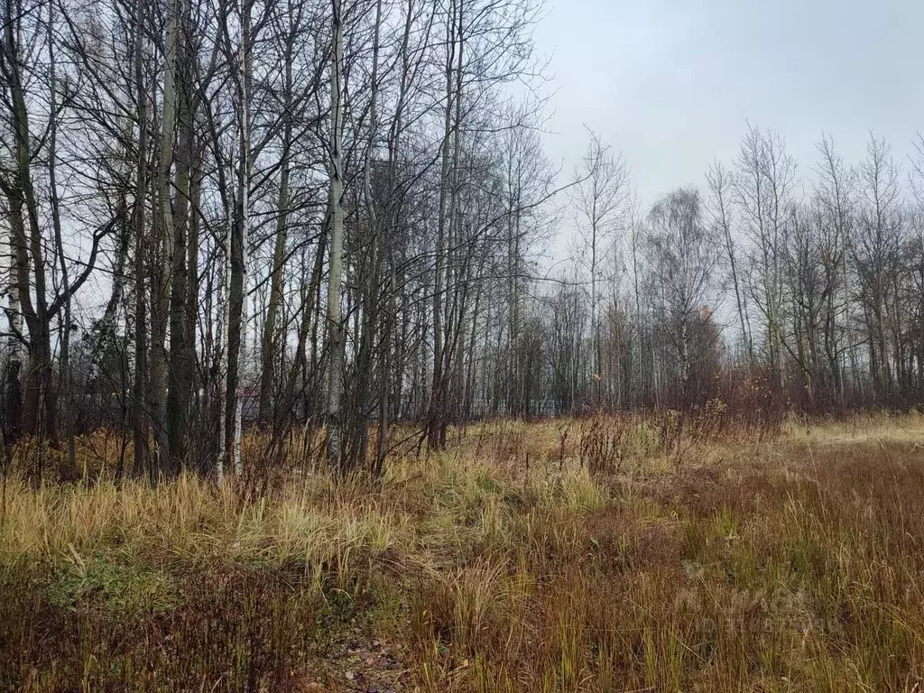 Участок в Московская область, Ликино-Дулево Орехово-Зуевский городской ... - Фото 1