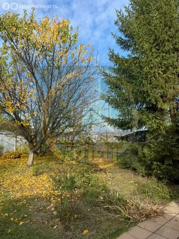 Дом в Старооскольский городской округ, село Курское (130 м) - Фото 1