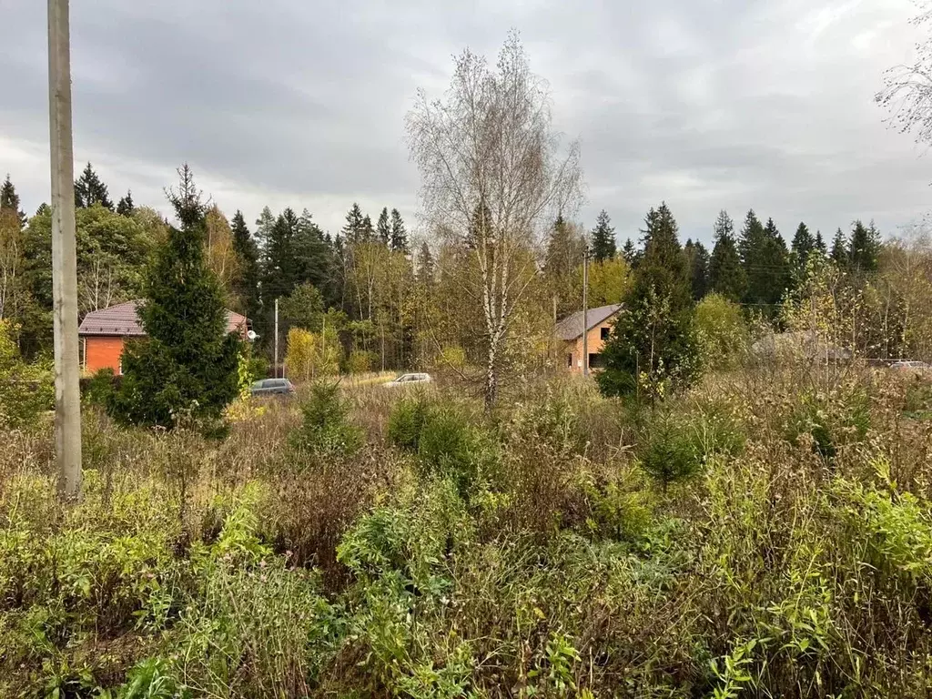 Участок в Московская область, Дмитровский муниципальный округ, Новая ... - Фото 1