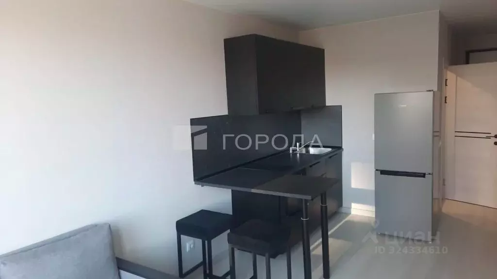 Студия Новосибирская область, Новосибирск ул. Никитина, 10 (25.0 м) - Фото 0