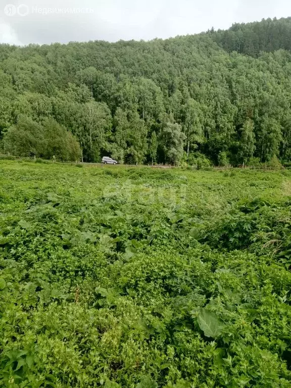 Участок в село Сараса, Красноармейская улица (32 м) - Фото 1