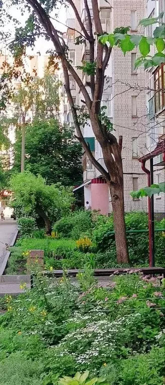 3-к кв. Пензенская область, Пенза ул. Ленина, 15 (60.6 м) - Фото 0