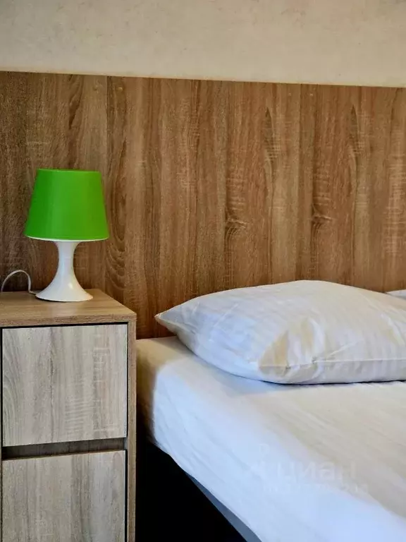 Студия Калужская область, Обнинск просп. Ленина, 137к4 (28.0 м) - Фото 1