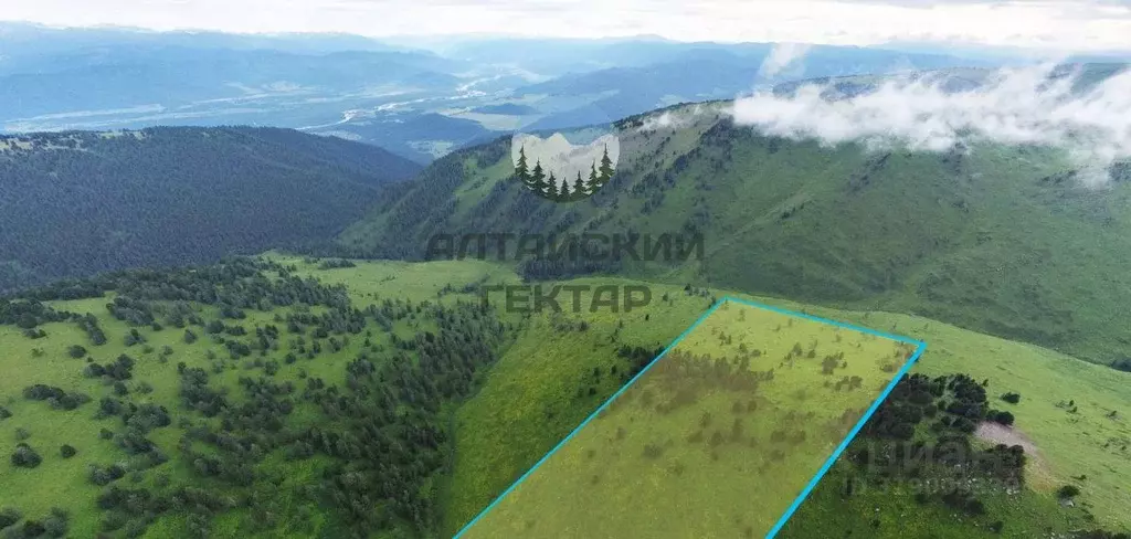 Участок в Алтай, Усть-Коксинский район, с. Усть-Кокса Советская ул. ... - Фото 0