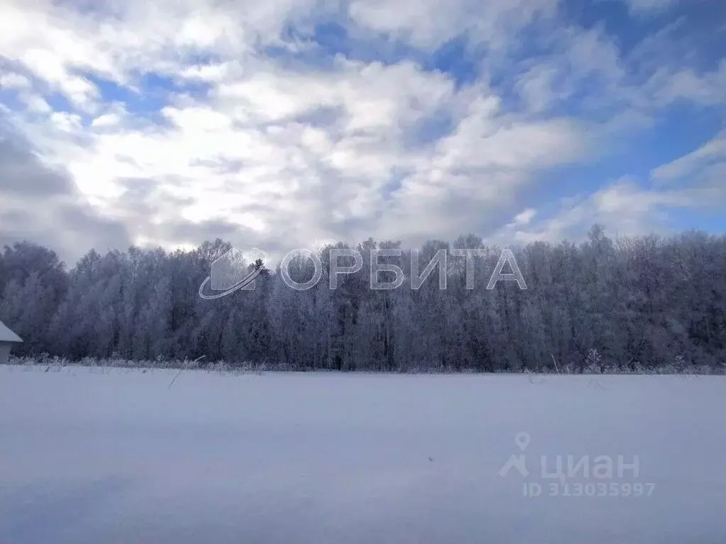 Участок в Тюменская область, Тюменский район, с. Кулига, Сказка кп  ... - Фото 1