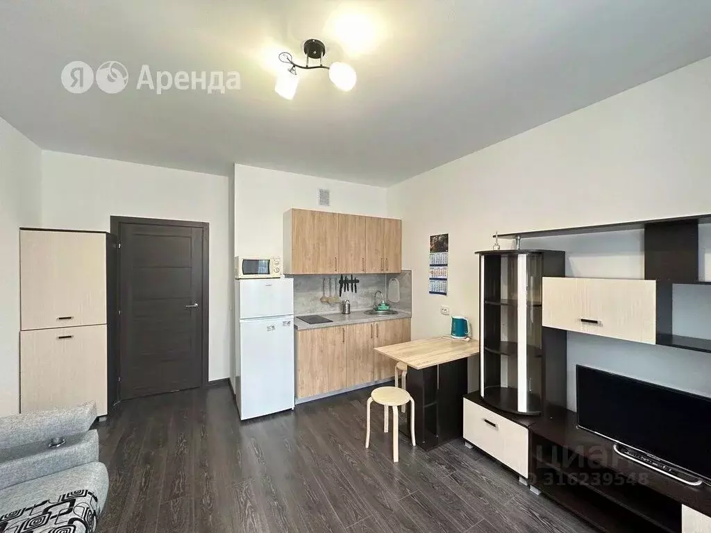 Студия Санкт-Петербург ул. Верхне-Каменская, 9к1 (24.0 м) - Фото 1
